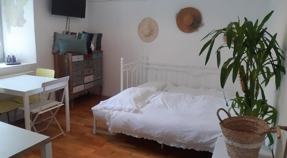 Little Garden Apartment Piran Bagian luar foto
