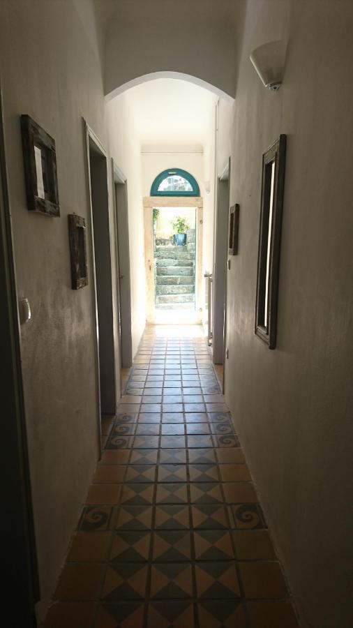 Little Garden Apartment Piran Bagian luar foto